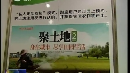 吉林新闻联播20141115通榆县成为阿里巴巴村淘项目全国第三个试点县