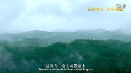 《天赐普洱 世界茶源》云南省普洱市宣传片