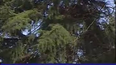 ������Ӱ桶�������� ������ ���Ӣ �Ź�� �˻�