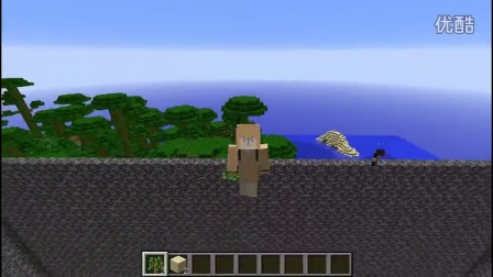 【红叔】我的世界★Minecraft - 直播预告2.8