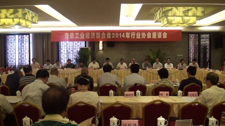 安徽工经联2014年行业协会座谈会（六）