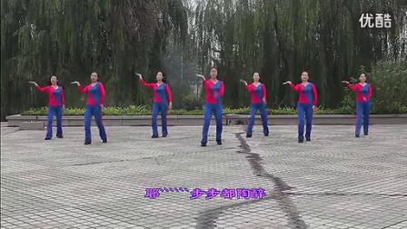 粉红的玫瑰 广场舞教学 广场舞蹈视频大全_高清