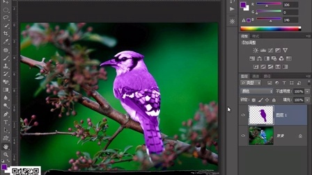 Photoshop CS6零基础入门学全套视频教程 PS