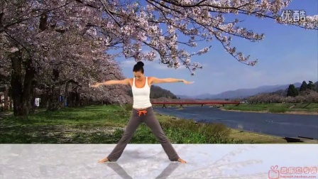 瑜伽初级教学视频07母其弥雅瑜伽视频三角伸展式原画