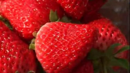 草莓种子种植技术盆栽草莓种植南方草莓种植