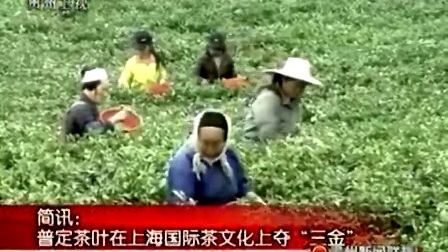 普定茶叶在上海国际茶文化上夺&ldquo;三金&rdquo;100519 贵州新闻联播