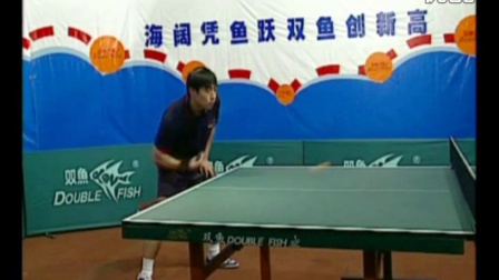 刘国梁乒乓球教学视频《世界冠军教你打乒乓球