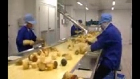 Pineapple Production Line