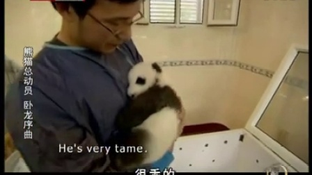20120614《探索》：熊猫总动员 卧龙序曲