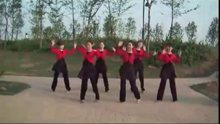 广场舞蹈视频大全2015《蓝色的蒙古高原》分解正反背面教学广场舞