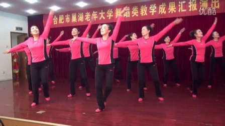 巢湖老年大学2015年舞蹈类教学成果专场汇报演出健身舞 中级班表演站在草原望北京