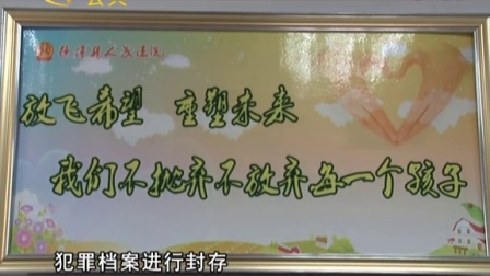 广西电视台公共频道《八桂新风采》栏目走访德保县人民法院