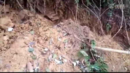 05410408566949126A0A46045BA04EAB