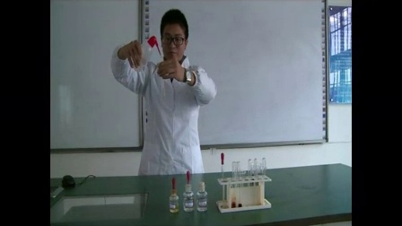  高二化学微课视频《Fe3+的检验》