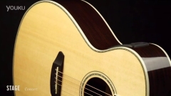 The Breedlove Stage Series Guitars stage concert吉他介绍