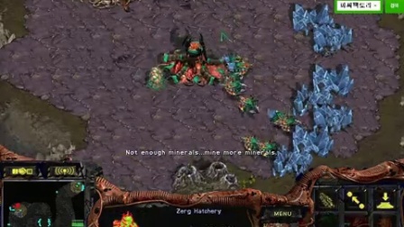 20160520晚上flash 三盘副族Z之后 大战黑肉 副族ZP战宙斯 然后打禽兽多盘互有胜负