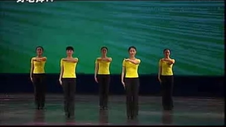 中国舞蹈家协会考级教材(第二级)