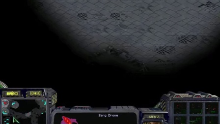 20160529晚上flash 我是教主我最帅 比我帅的靠边站