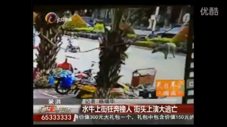 YNTV-6民生关注 云南省西双版纳州景洪市疯牛上大街伤人，果断开枪击