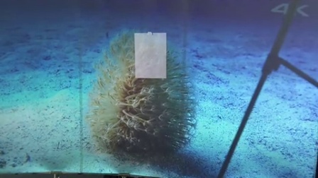 FST 熊猫 微晶抗光屏各种环境各种机器实拍视