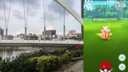 阿神【Pokemon GO精灵宝可梦GO】捕获率大解析 高雄益群桥