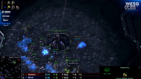 WESG2016 欧洲总决赛 星际争霸2项目 Harstem vs Serral 10.8