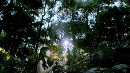 基督教歌曲--赞美诗歌--好听音乐--福音歌曲---好