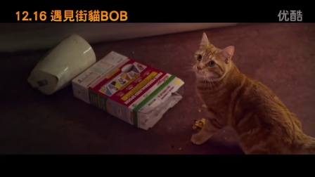 ►《流浪猫BOB》中文电影官方预告片