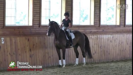 Dressage With Dr. Ulf Moller On Keeping The Contact