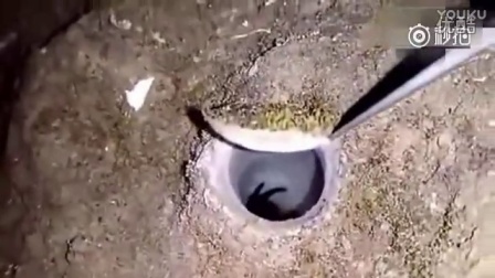 男子发现地下有异物 打开一看被吓一跳！_标清