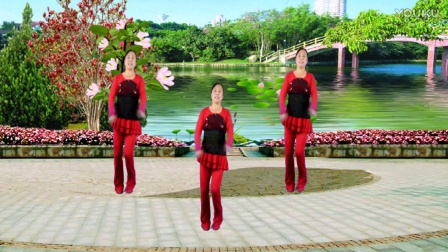 旧的不去新的不来广场舞 最新广场舞教学舞蹈健身舞 赵县花开花落广场舞