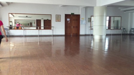 古典舞《梅花泪》教学A版杨子鸣演示北京舞蹈