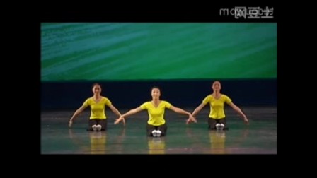 中国舞蹈家协会舞蹈考级教材(第三版)第二级 1