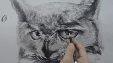 素描零基础绘画入门教学视频--猫头鹰2