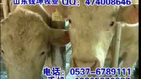 0541040858A43C040000011AC2000A88