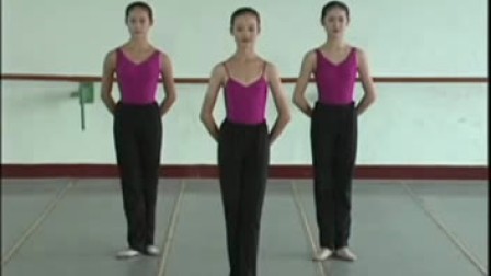 舞蹈之乡-古曲舞教材-古典舞身韵-第三章 (5)