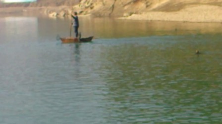 传说的鱼鹰捕鱼--秋浦河