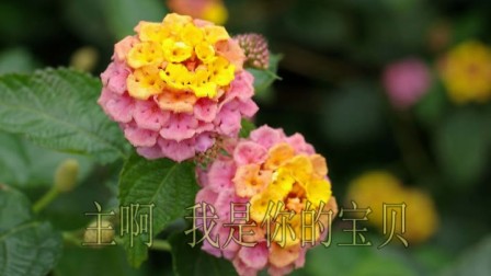 主啊 我是你的宝贝 基督教歌曲-基督教赞美诗歌