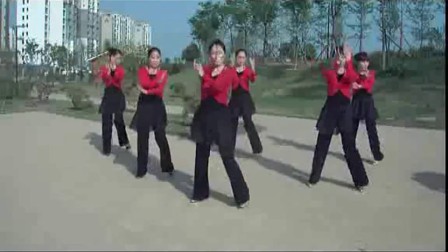 广场舞白马王子广场舞教学视频大全动动健身舞