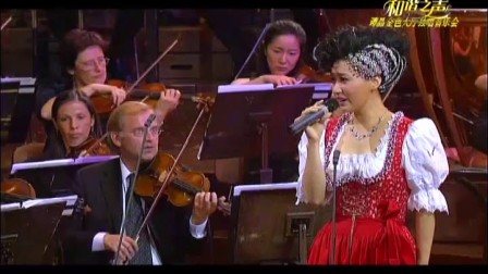 06.维也纳.我梦中的城市《和谐之声》维也纳金