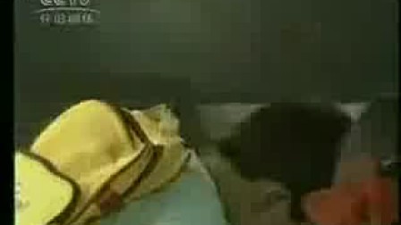 0541040858AD7ED4700726021508F6AF