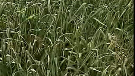 0541040858AD90756C202D0203046518