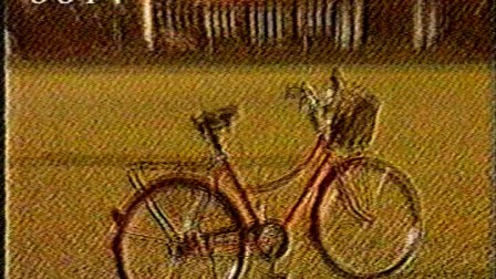 1991 cctv1 陶慧敏 自行车广告