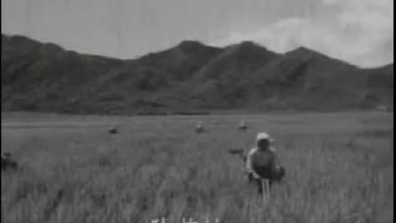 怀旧--朝鲜老电影歌曲