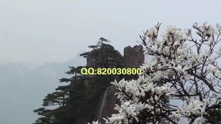 0541040858AE5A5570071E021E0C6107