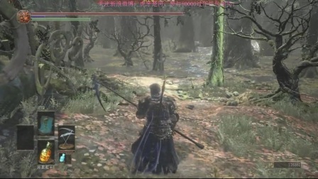 楚河《黑暗之魂3》DLC 06集：打无名王者 [20170130]