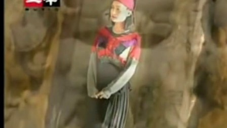 高胜美 情难枕 二胡