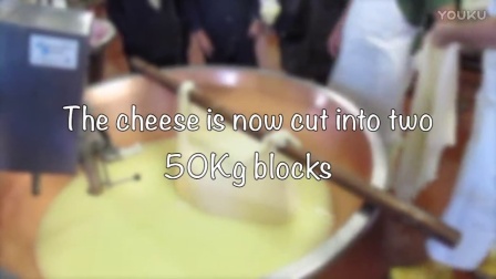 意大利帕马森干酪帕尔玛奶酪起司，芝士制作过程视频Parmesan Cheese making