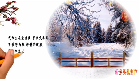 【手绘+抠像】广场舞成品素材【雪寻梅】手绘制作