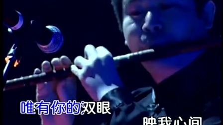 《情怨》刘欢  (欢歌2004演唱会版)